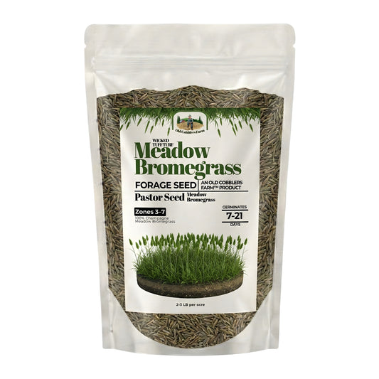 Wicked Tuff Turf Bromegrass Seed - Meadow