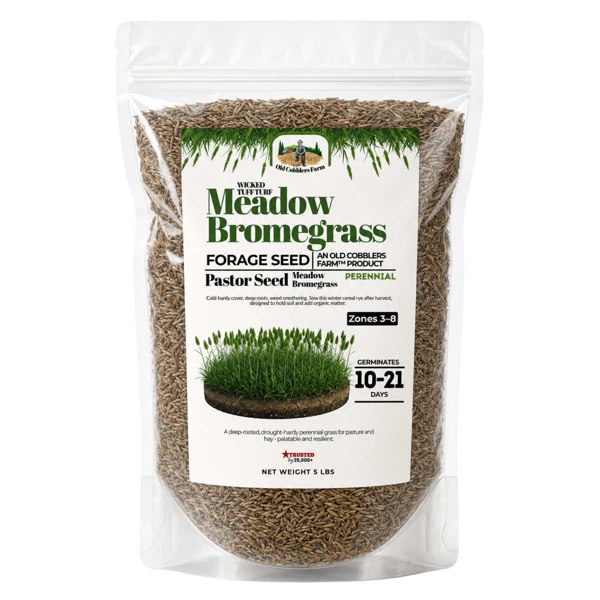 Wicked Tuff Turf Meadow Bromegrass Seed
