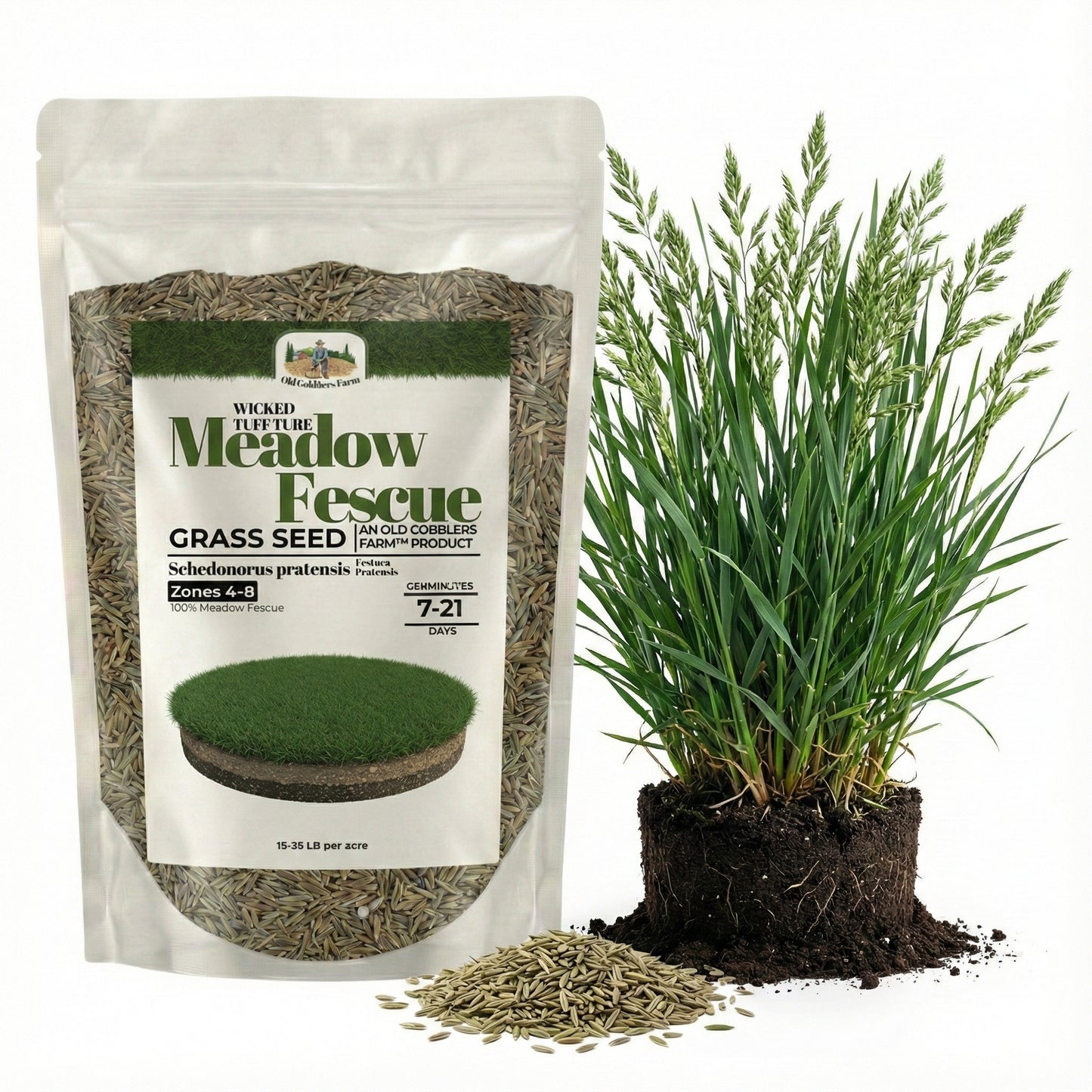 Wicked Tuff Turf Meadow Fescue Seed