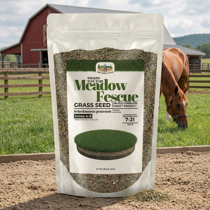 Wicked Tuff Turf Meadow Fescue Seed