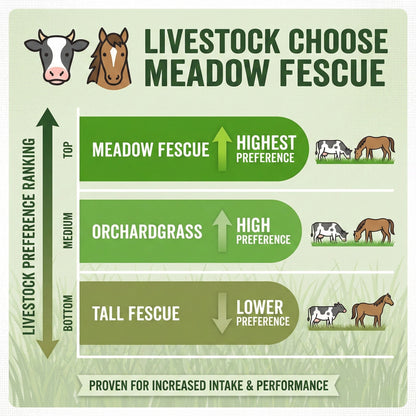 Wicked Tuff Turf Meadow Fescue Seed