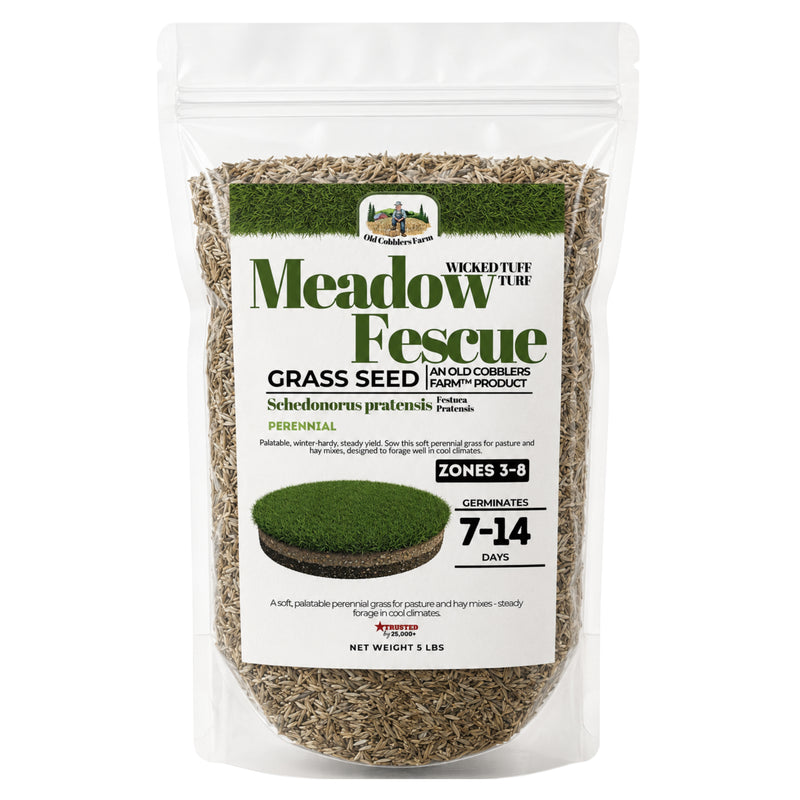 Wicked Tuff Turf Meadow Fescue Seed - Old Cobblers Farm