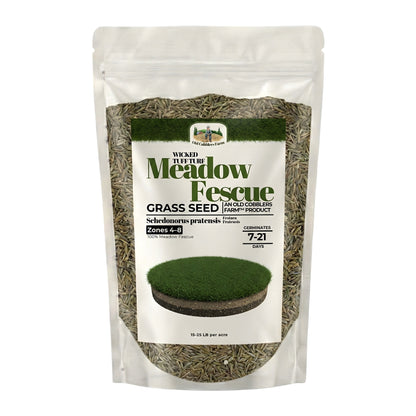 Wicked Tuff Turf Meadow Fescue Seed