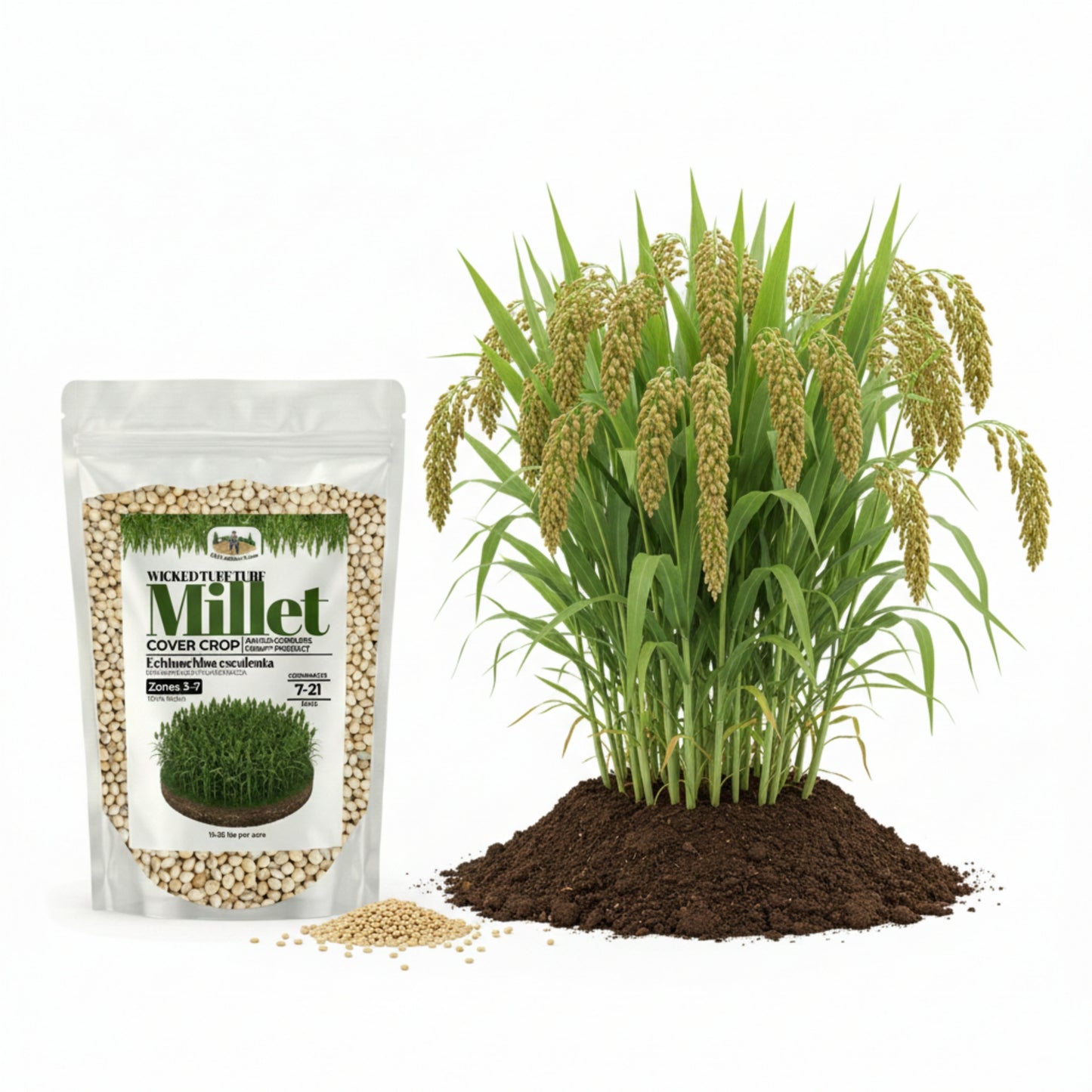 Wicked Tuff Turf Millet Seed