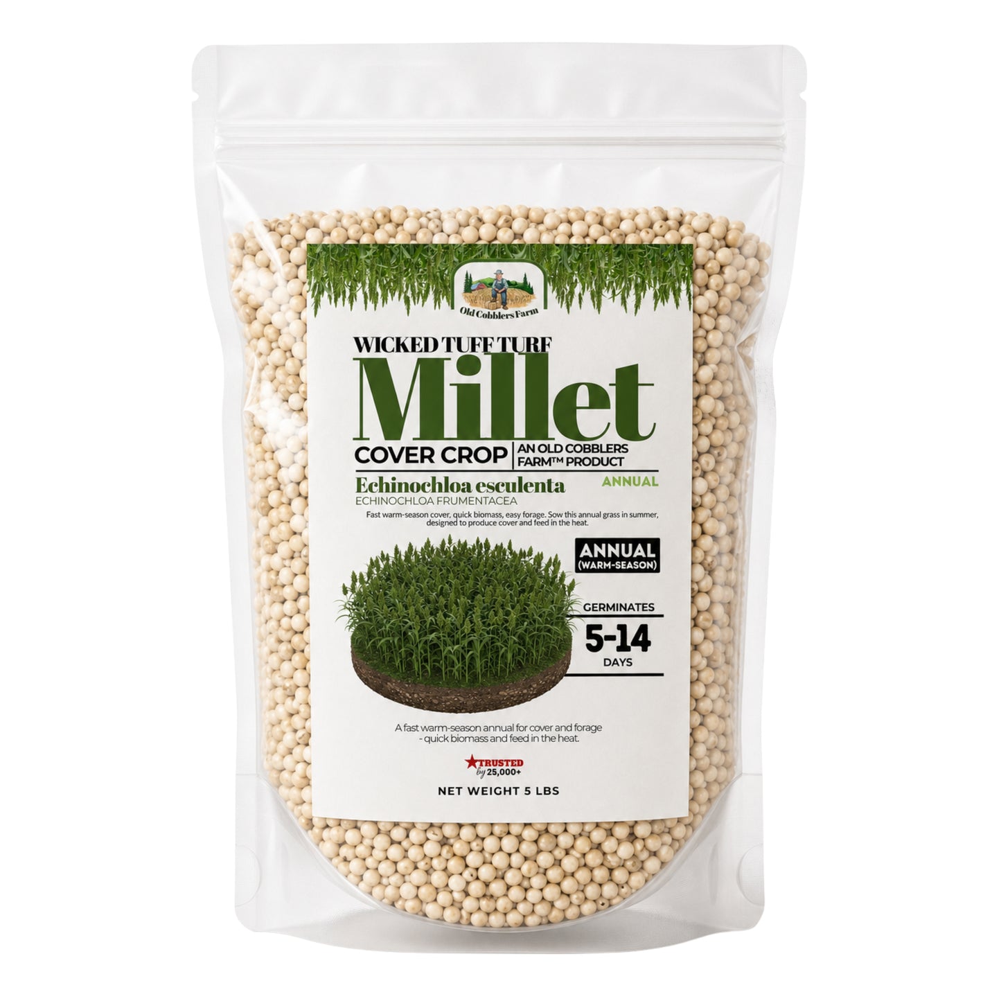 Wicked Tuff Turf Millet Seed - Old Cobblers Farm