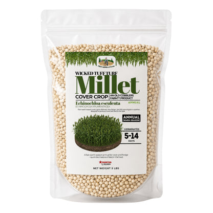 Wicked Tuff Turf Millet Seed - Old Cobblers Farm