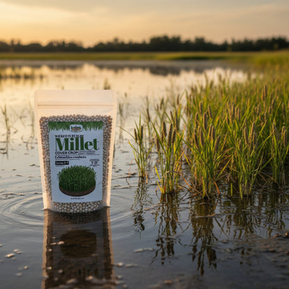 Wicked Tuff Turf Millet Seed