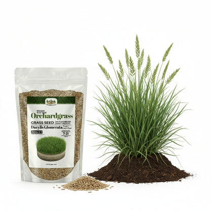 Wicked Tuff Turf Orchardgrass Seed