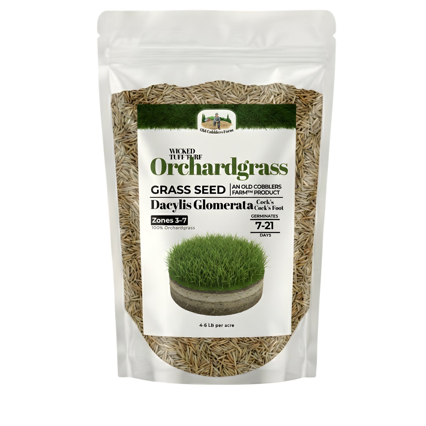 Wicked Tuff Turf Orchardgrass Seed