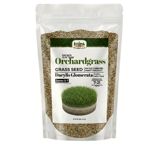 Wicked Tuff Turf Orchardgrass Seed