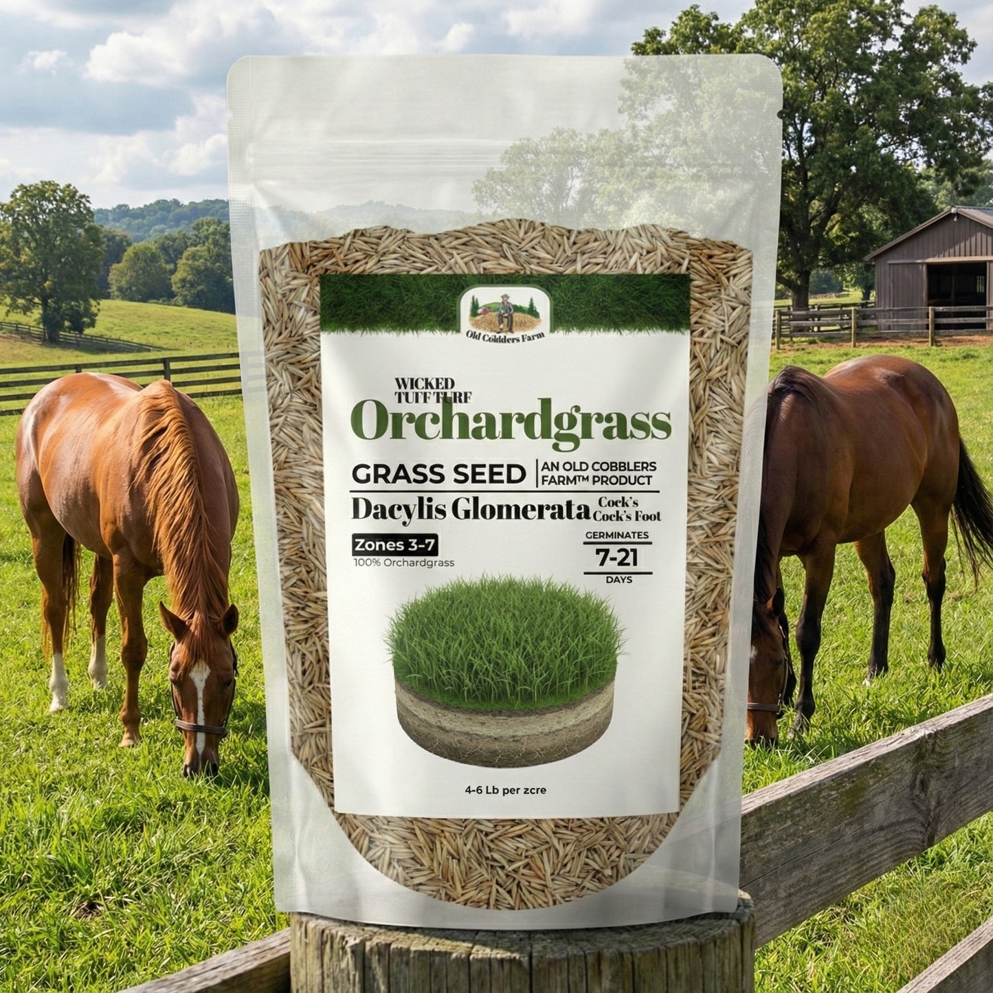 Wicked Tuff Turf Orchardgrass Seed
