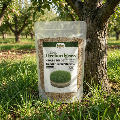 Wicked Tuff Turf Orchardgrass Seed