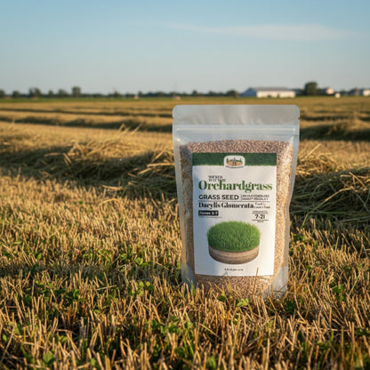 Wicked Tuff Turf Orchardgrass Seed
