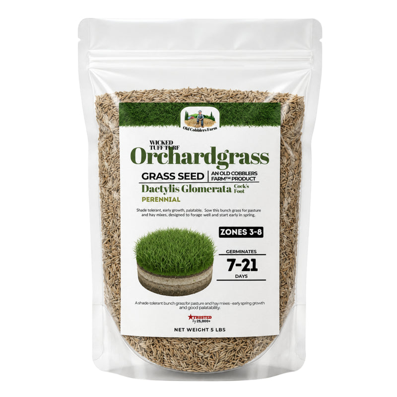 Wicked Tuff Turf Orchardgrass Seed - Old Cobblers Farm