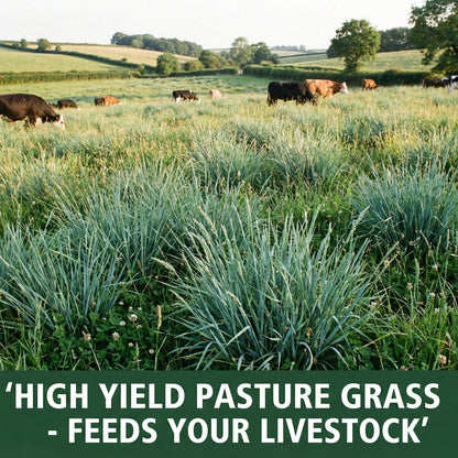 Wicked Tuff Turf Orchardgrass Seed