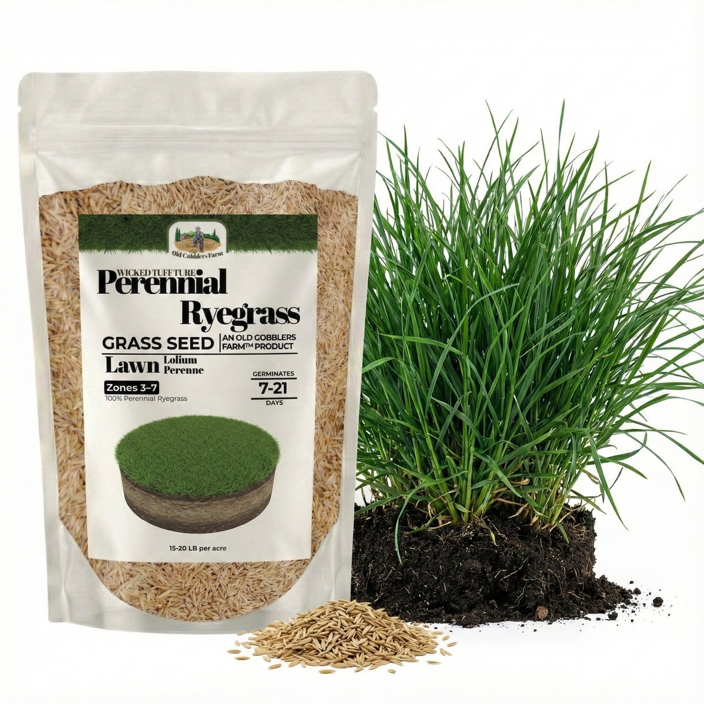 Wicked Tuff Turf Perennial Ryegrass Seed