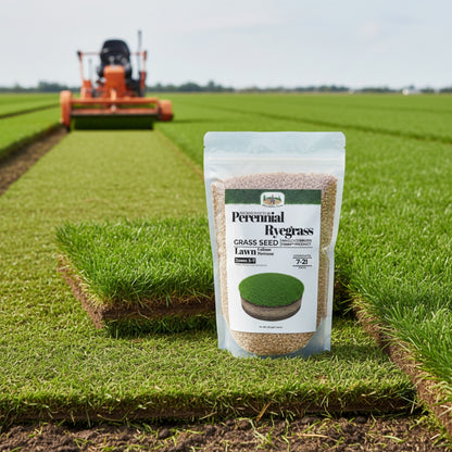Wicked Tuff Turf Perennial Ryegrass Seed