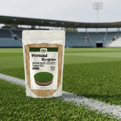 Wicked Tuff Turf Perennial Ryegrass Seed