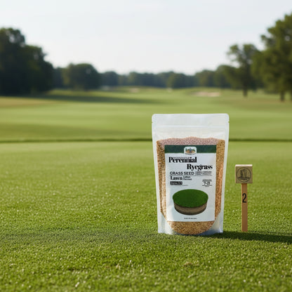 Wicked Tuff Turf Perennial Ryegrass Seed