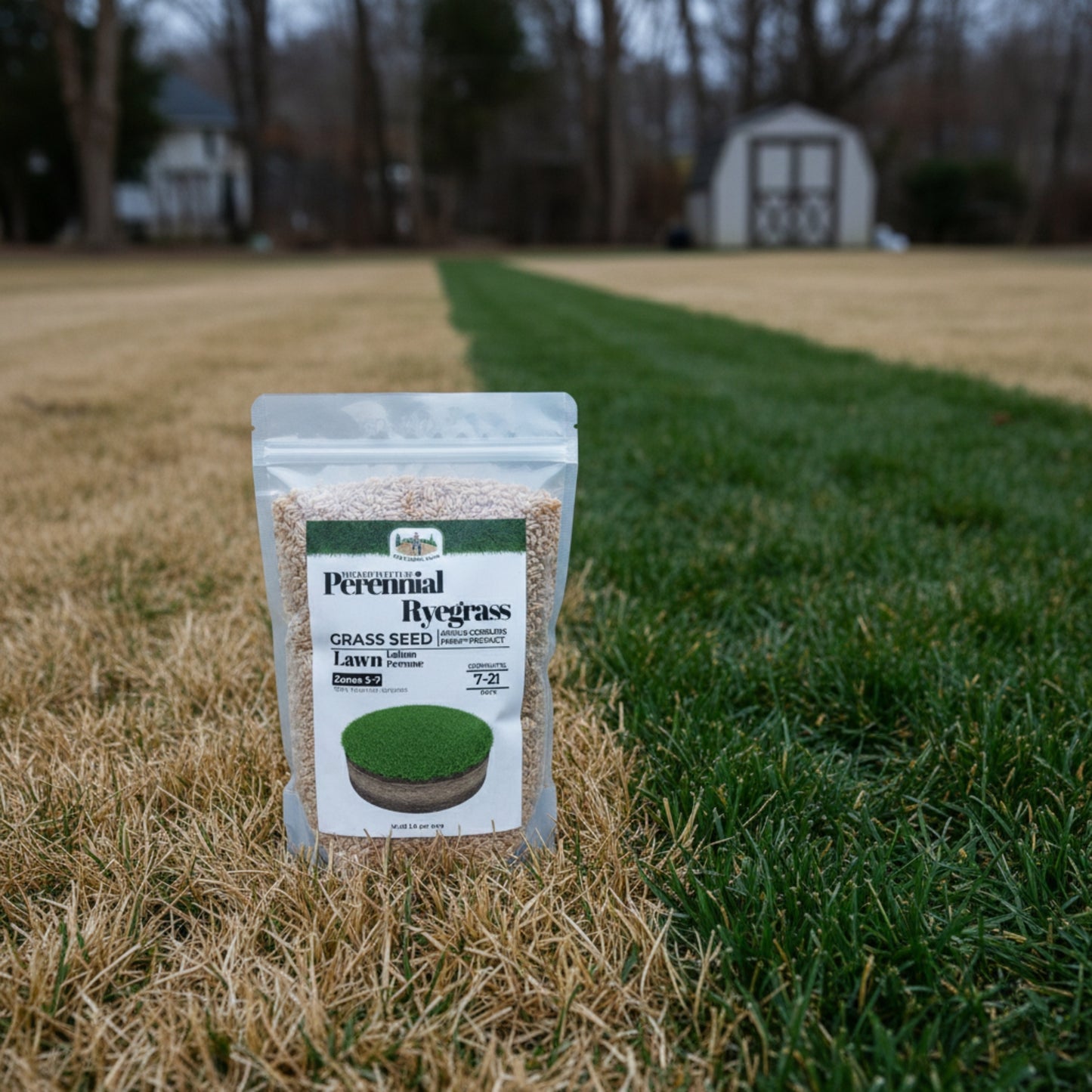 Wicked Tuff Turf Perennial Ryegrass Seed