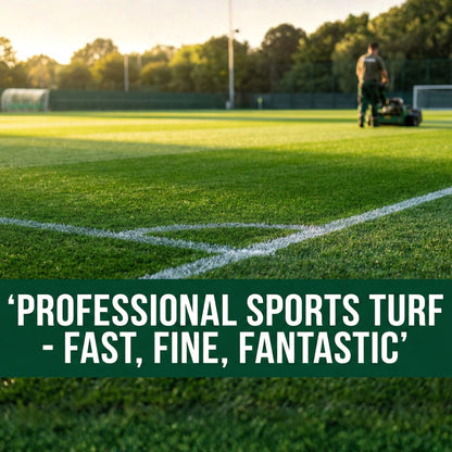 Wicked Tuff Turf Perennial Ryegrass Seed