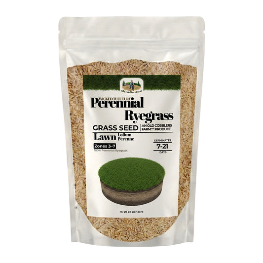 Wicked Tuff Turf Perennial Ryegrass Seed