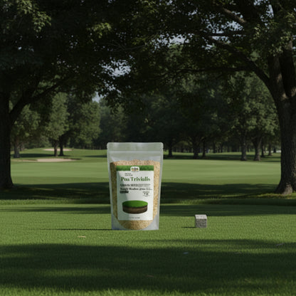 Wicked Tuff Turf Poa Trivialis Seed