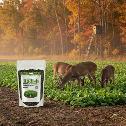 Wicked Tuff Turf Radish Seed
