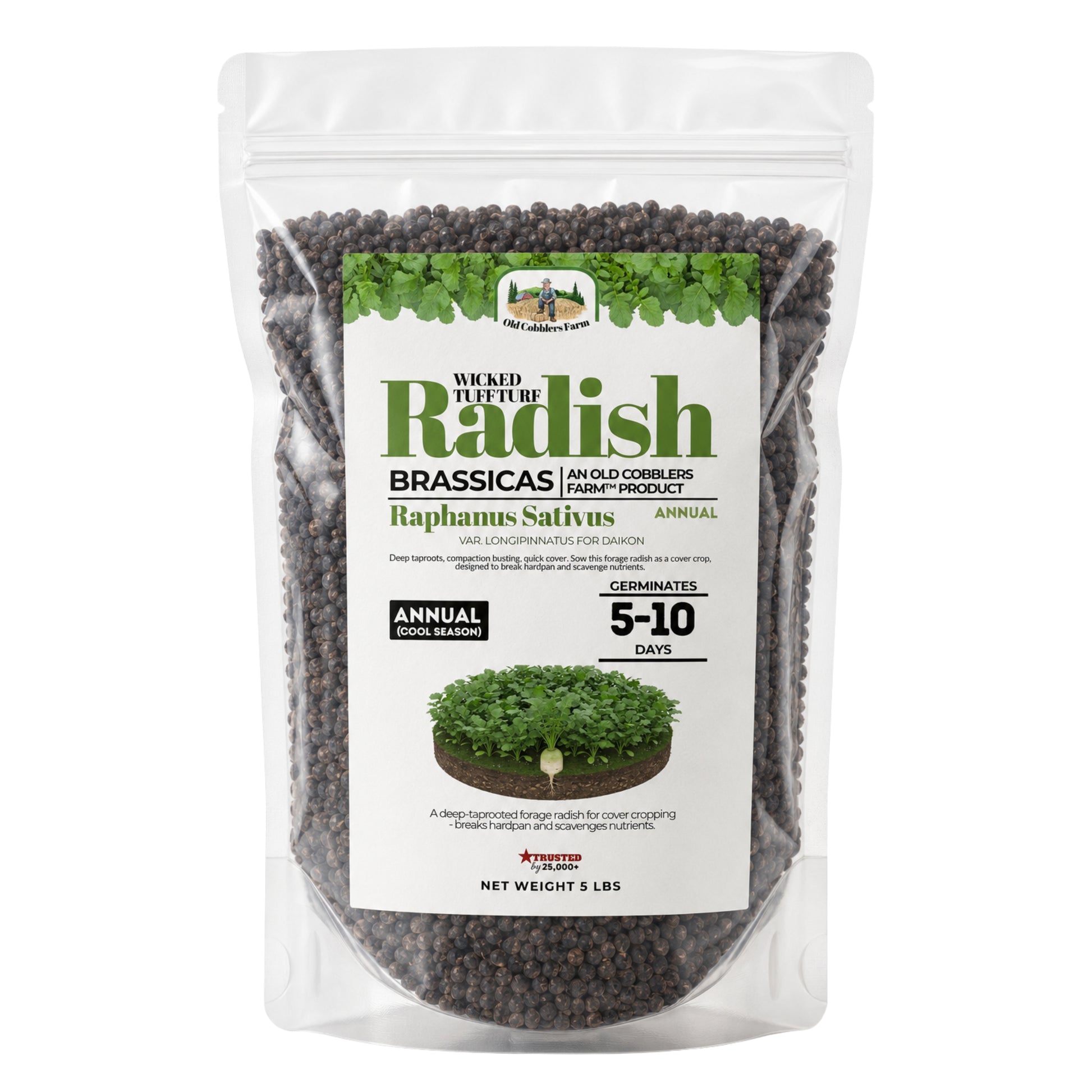 Wicked Tuff Turf Radish Seed - Old Cobblers Farm