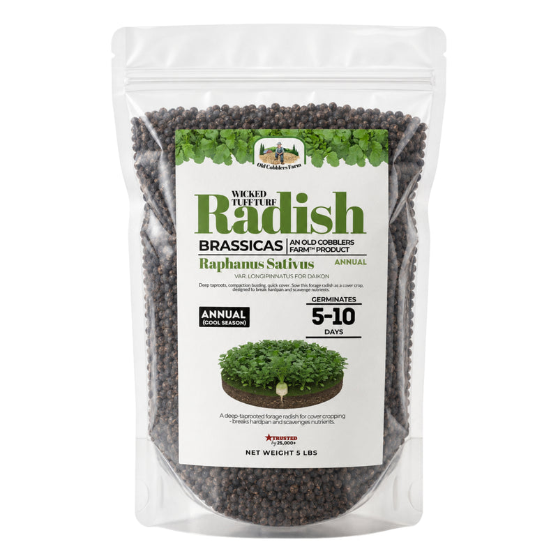 Wicked Tuff Turf Radish Seed - Old Cobblers Farm
