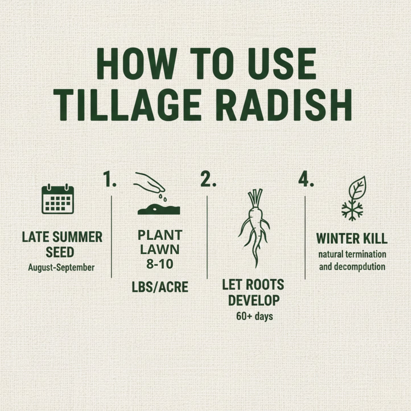 Wicked Tuff Turf Radish Seed
