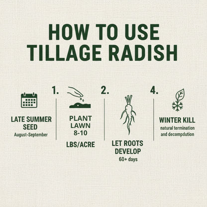 Wicked Tuff Turf Radish Seed
