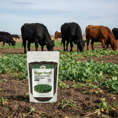 Wicked Tuff Turf Rape Seed