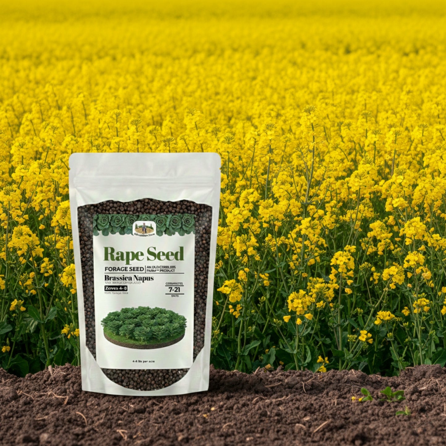 Wicked Tuff Turf Rape Seed