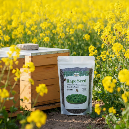 Wicked Tuff Turf Rape Seed