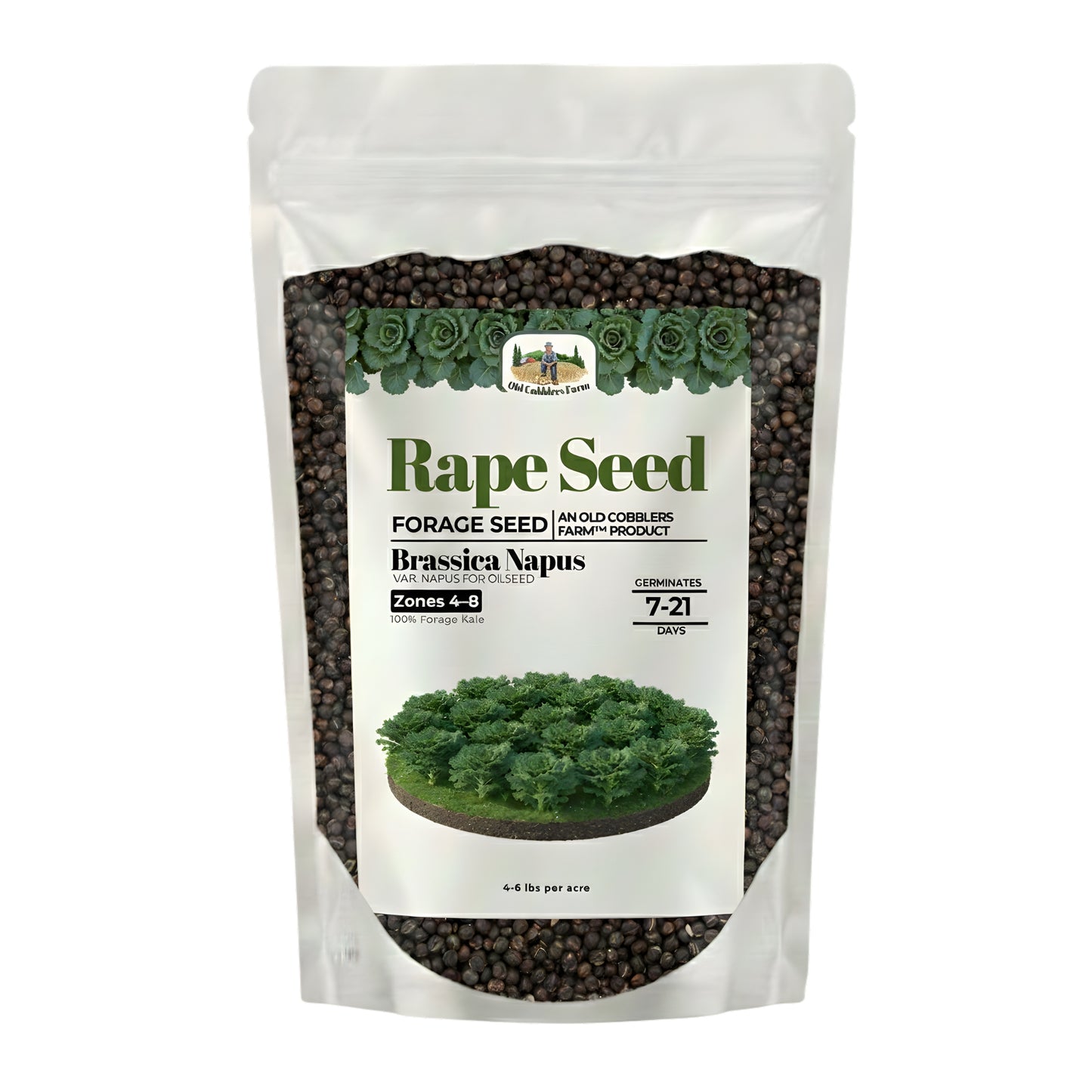 Wicked Tuff Turf Rape Seed