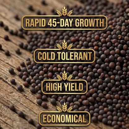 Wicked Tuff Turf Rape Seed
