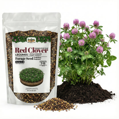 Wicked Tuff Turf Red Clover Seed
