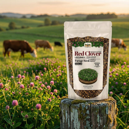 Wicked Tuff Turf Red Clover Seed