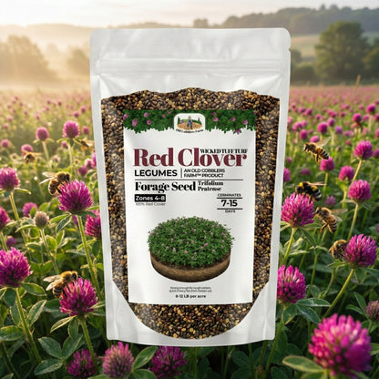 Wicked Tuff Turf Red Clover Seed