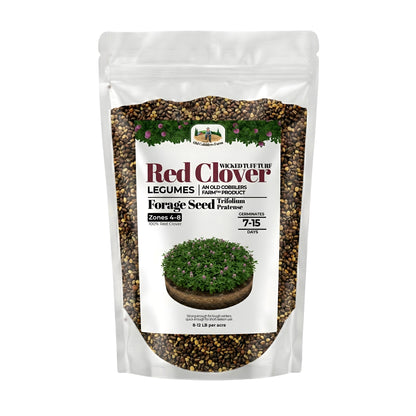 Wicked Tuff Turf Red Clover Seed