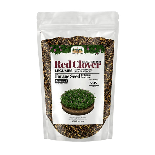 Wicked Tuff Turf Red Clover Seed