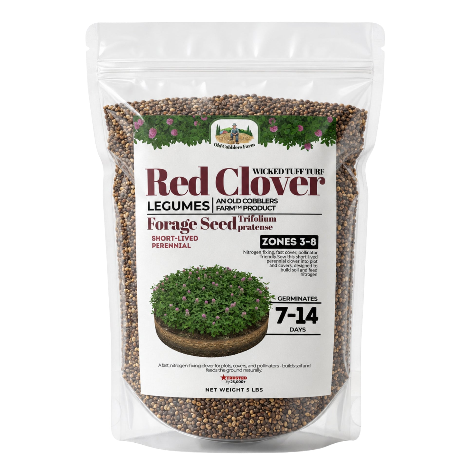Wicked Tuff Turf Red Clover Seed - Old Cobblers Farm