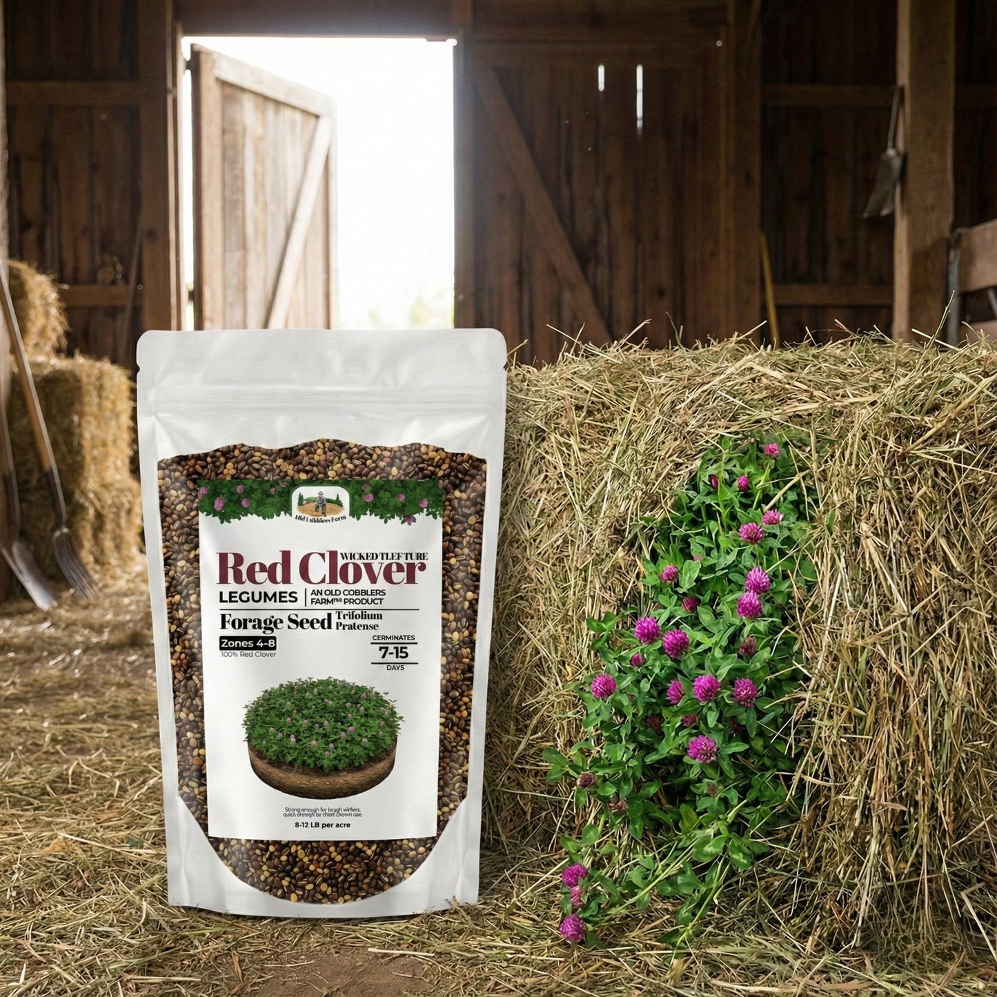 Wicked Tuff Turf Red Clover Seed
