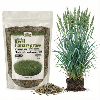 Wicked Tuff Turf Reed Canarygrass Seed