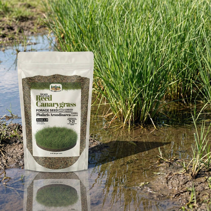 Wicked Tuff Turf Reed Canarygrass Seed