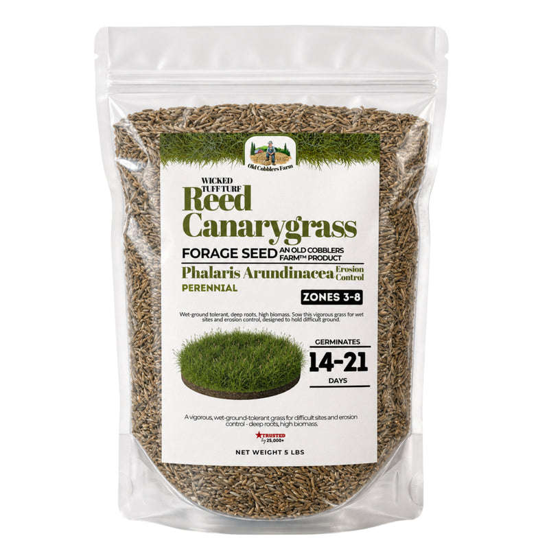 Wicked Tuff Turf Reed Canarygrass Seed - Old Cobblers Farm
