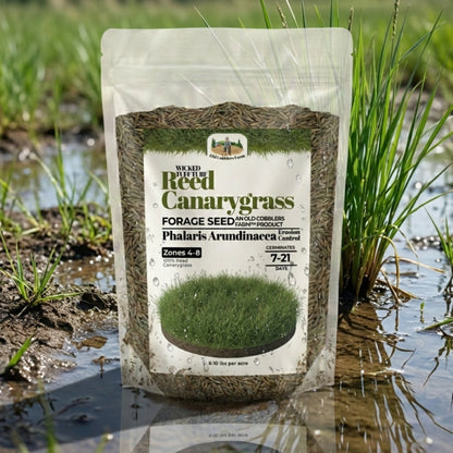 Wicked Tuff Turf Reed Canarygrass Seed
