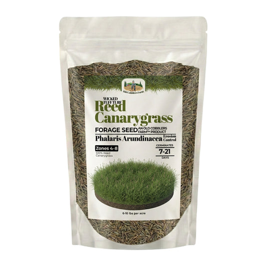 Wicked Tuff Turf Reed Canarygrass Seed