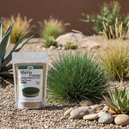 Wicked Tuff Turf Sheep Fescue Seed